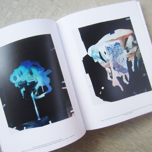 Carrie Schneider: Sphinx