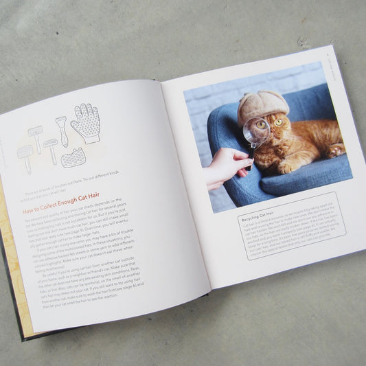 Cat-Hair Hats for Cats