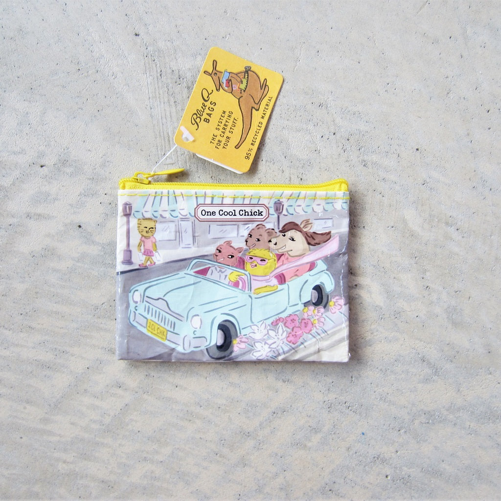 Coin Purse: One Cool Chick