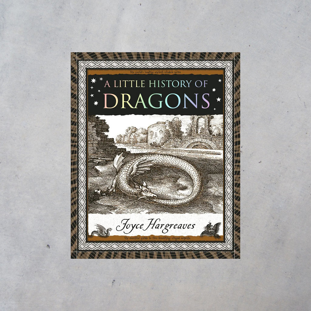 A Little History of Dragons
