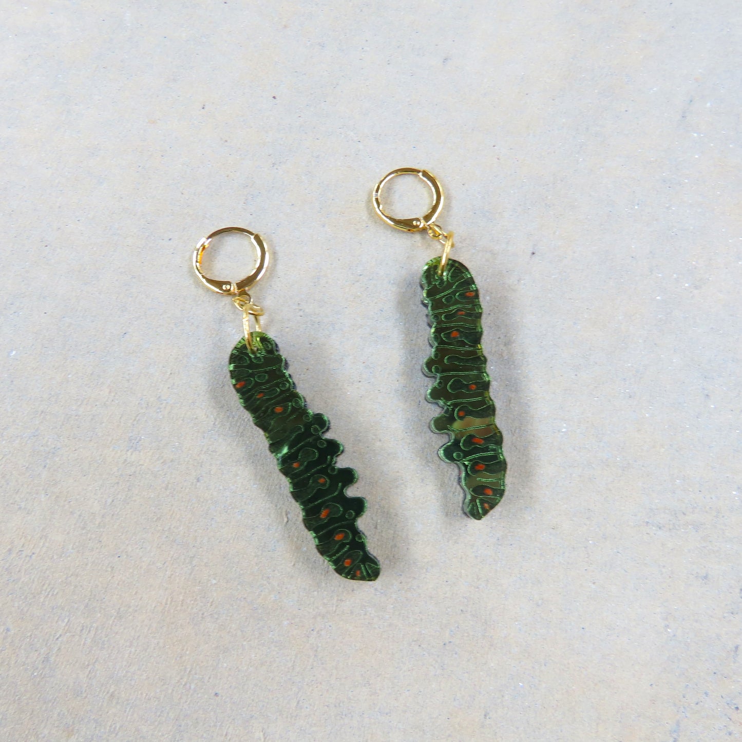 Caterpillar Acrylic Earrings