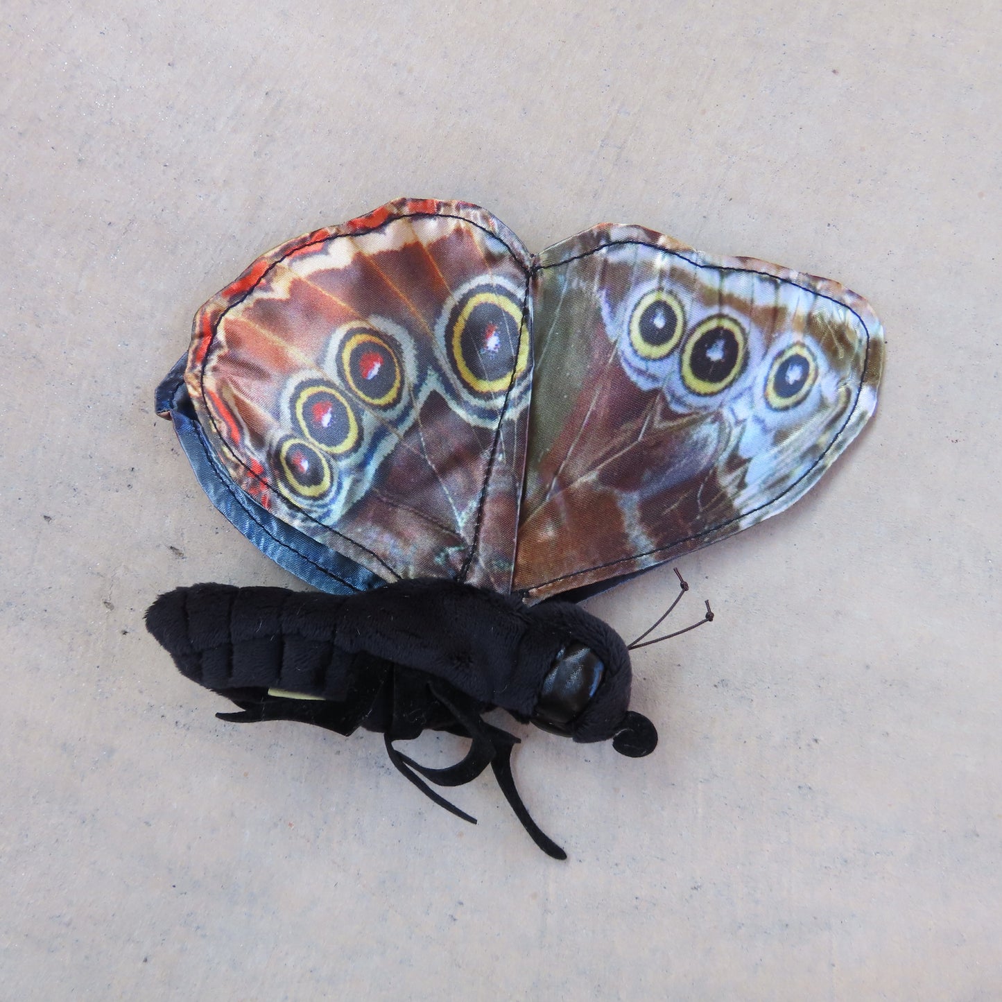 Finger Puppet: Blue Morpho Butterfly
