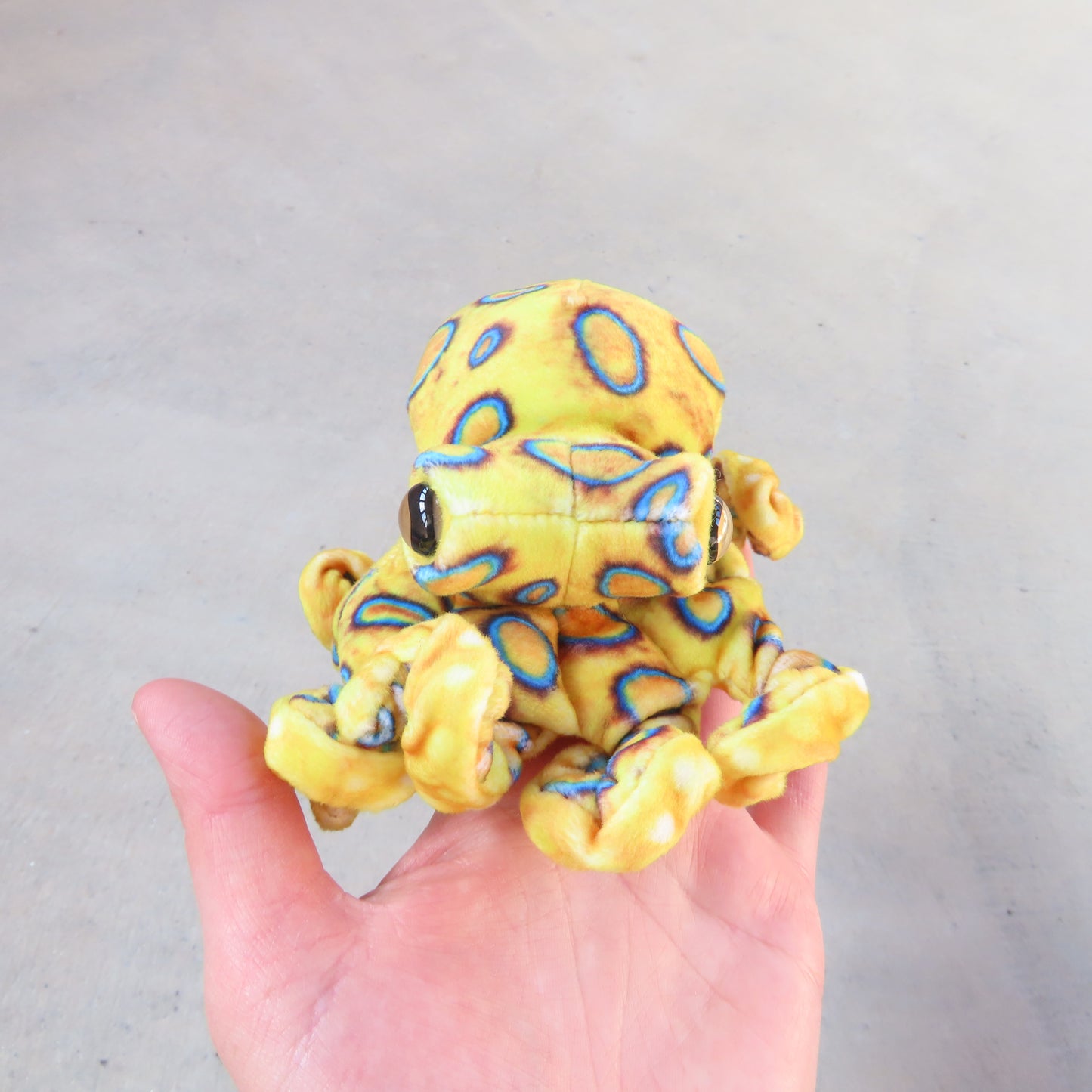 Finger Puppet: Mini Blue Ringed Octopus