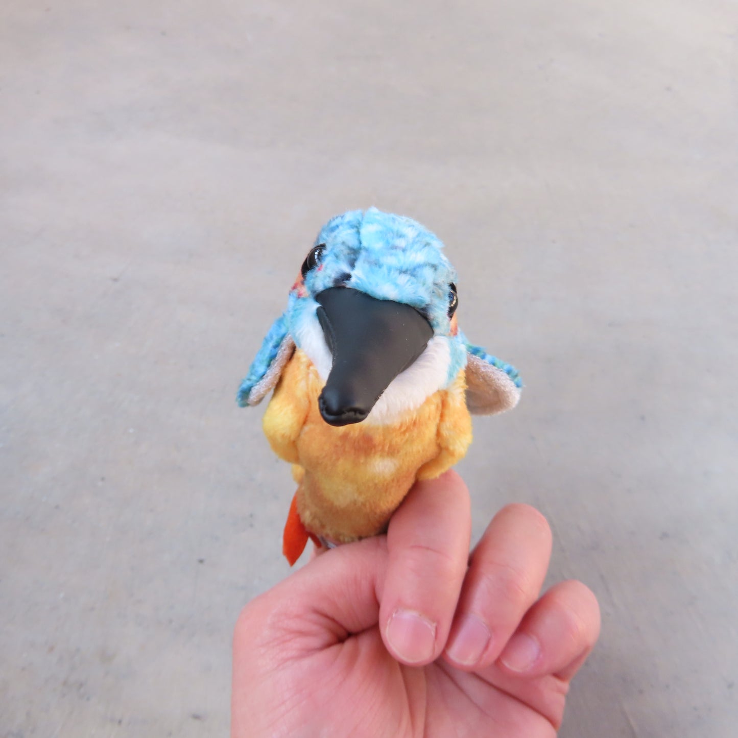 Finger Puppet: Mini Common Kingfisher