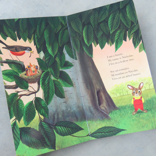 I Am a Bunny / Soy Un Conejito