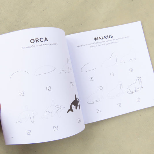 How to Draw Under the Sea