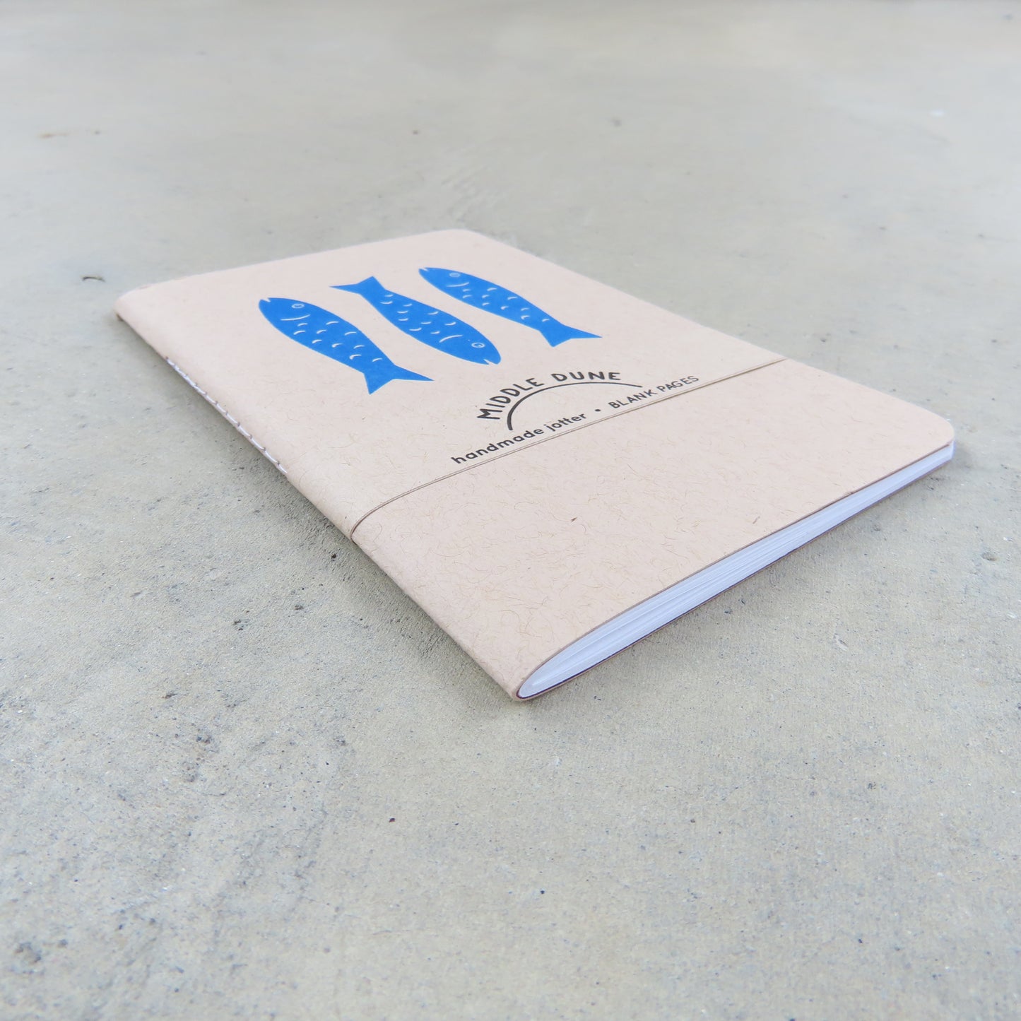 Jotter Notebook: Fish