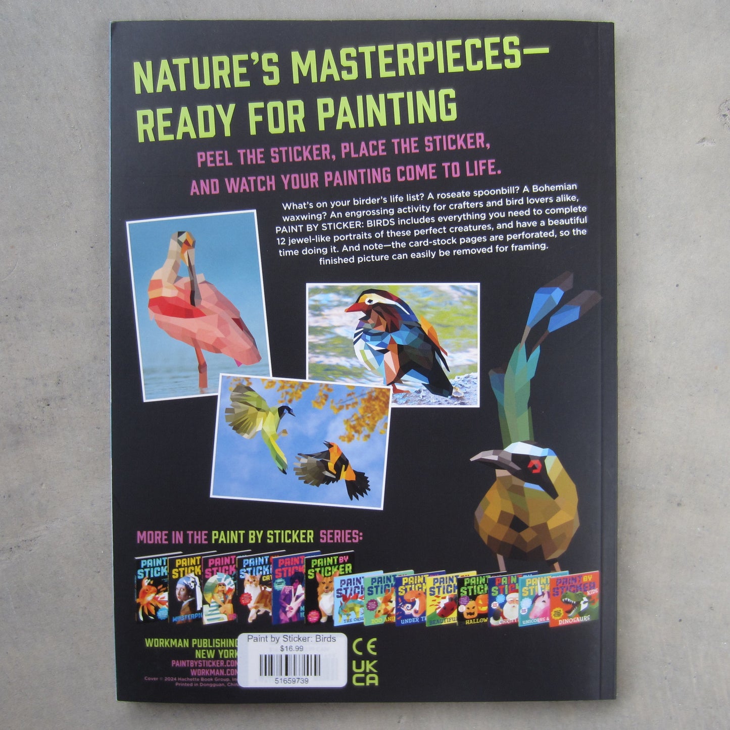 Paint by Sticker: Birds