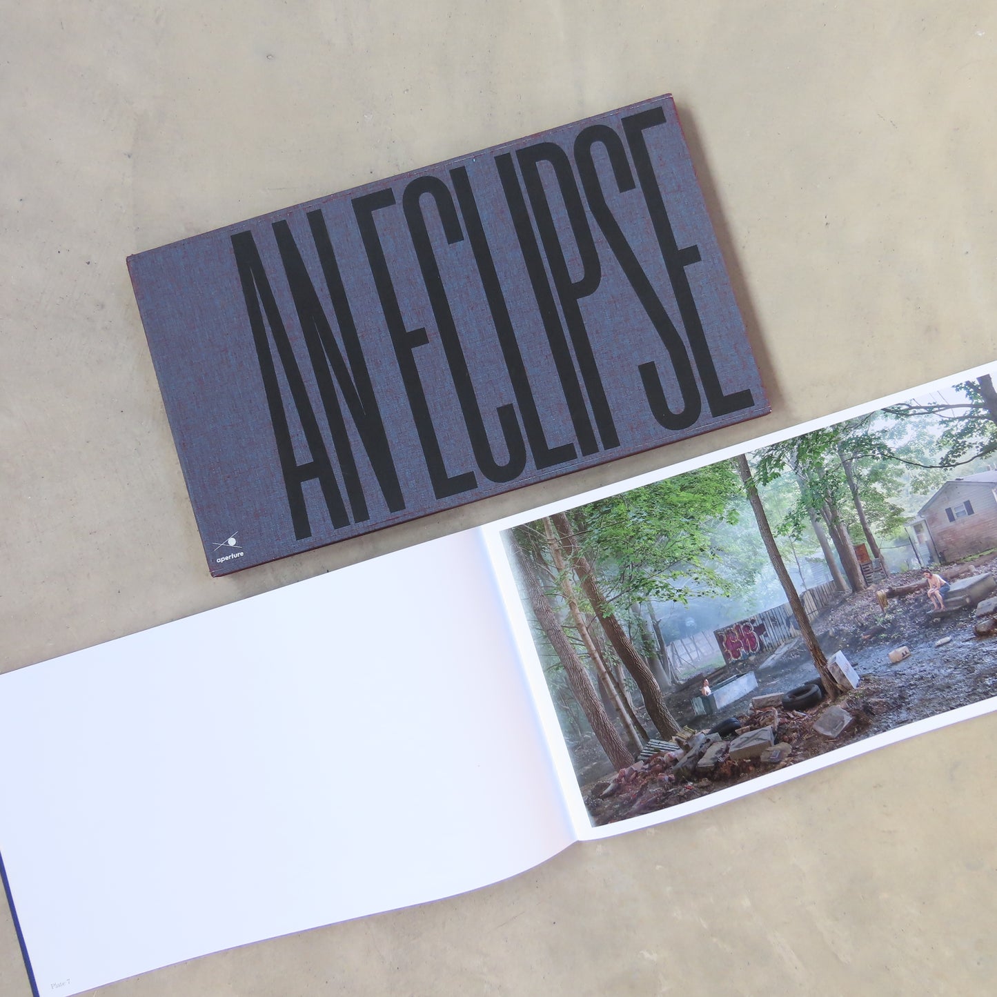 Gregory Crewdson: An Eclipse of Moths