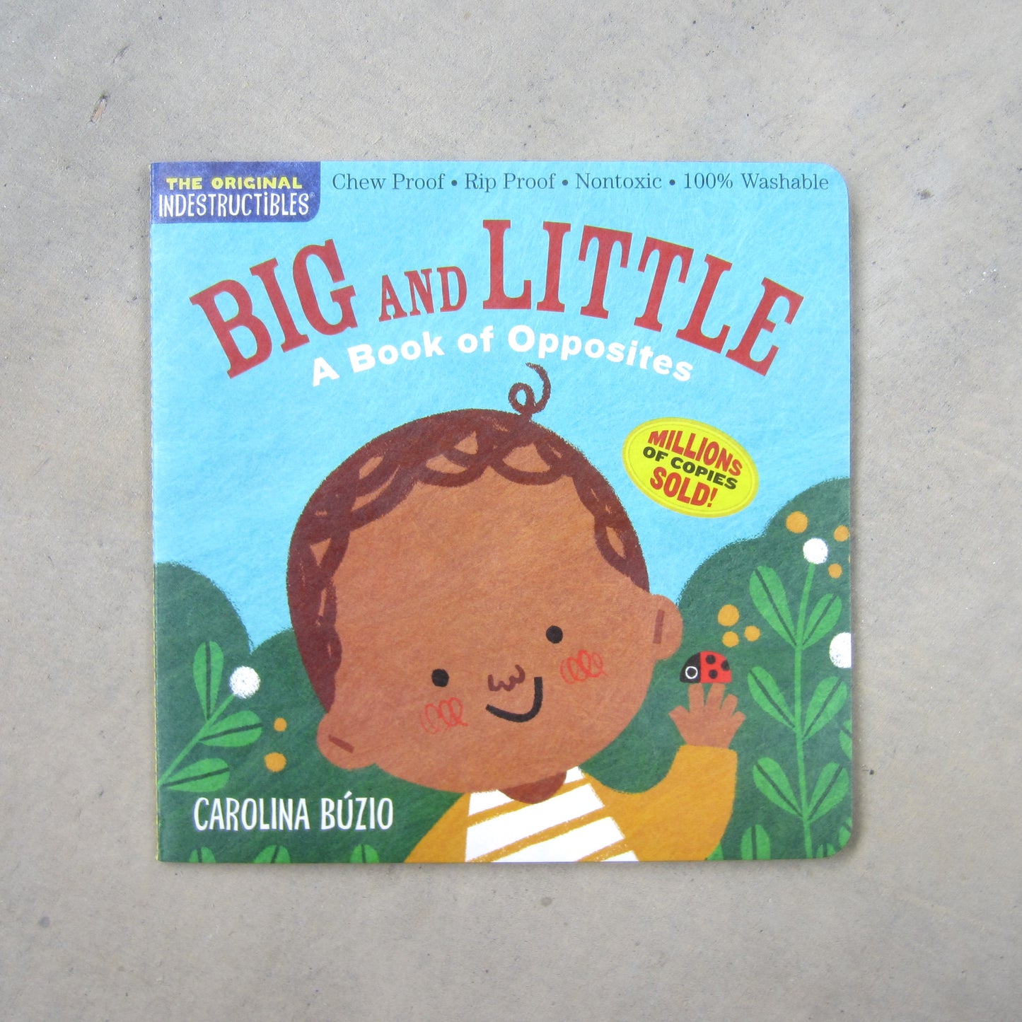 Indestructibles: Big and Little - A Book of Opposites