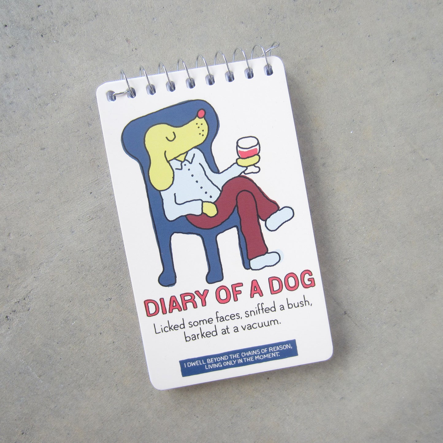 Spiral Notebook: Diary of a Dog