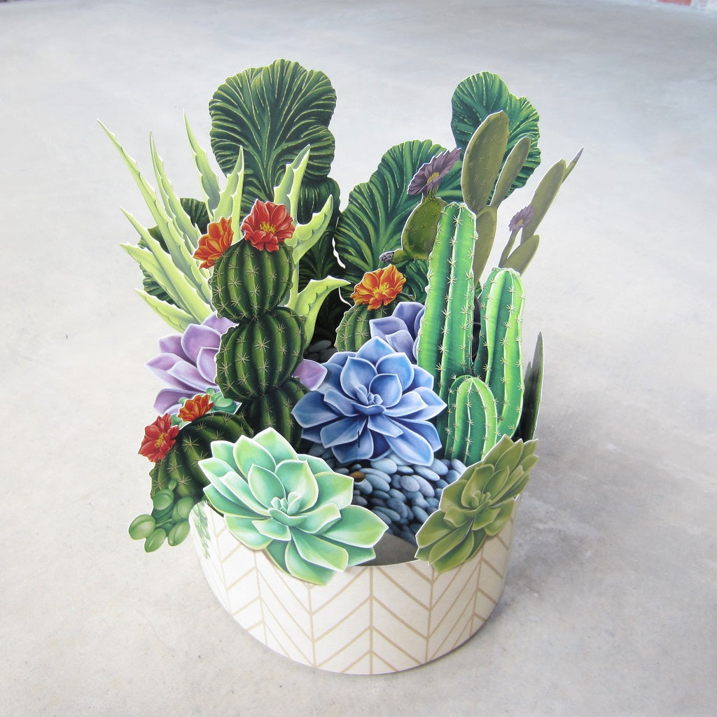 3d Cactus bouquet, Cactus Garden