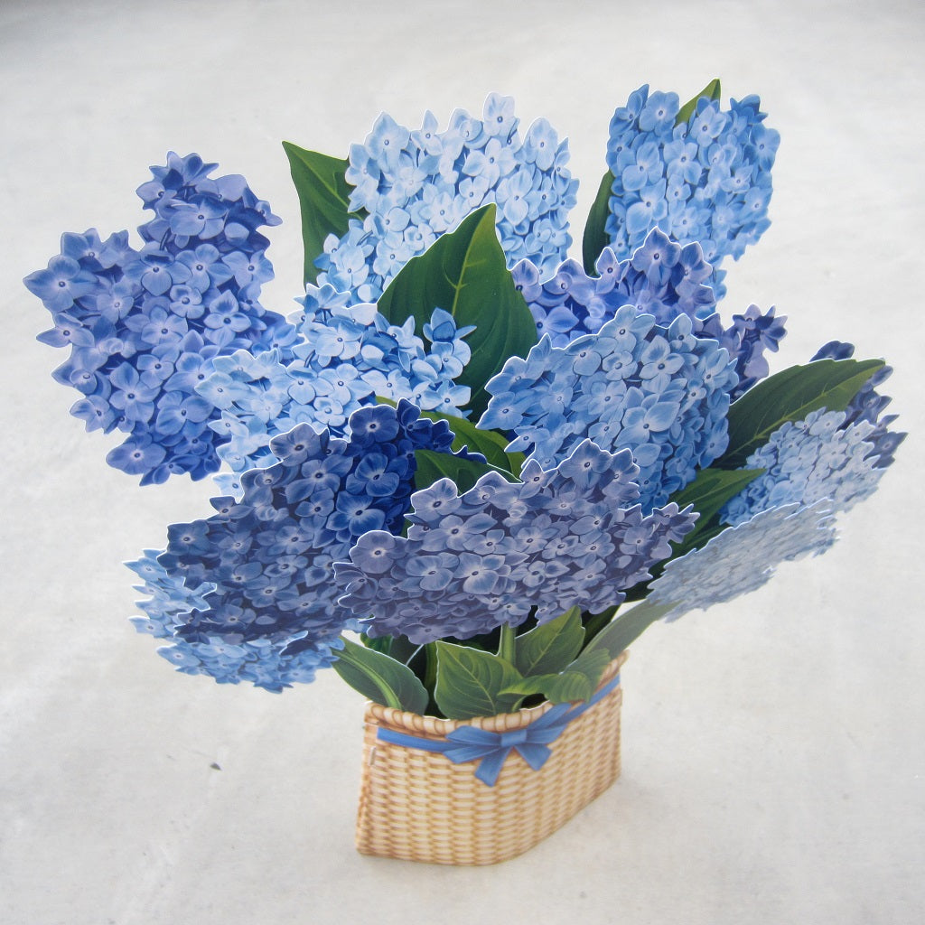 Bouquets of hydrangeas in craft paper (60 photos) – Gorodprizrak