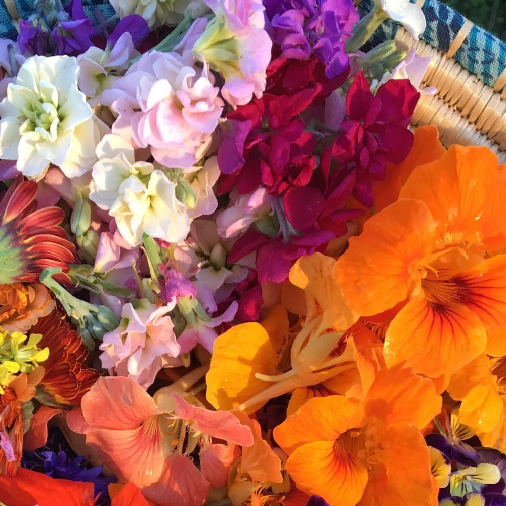 Seeds: Edible Flower Mix