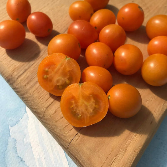 Seeds: Honey Drop Cherry Tomato