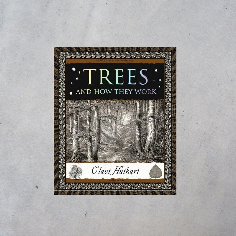 Trees and How They Work