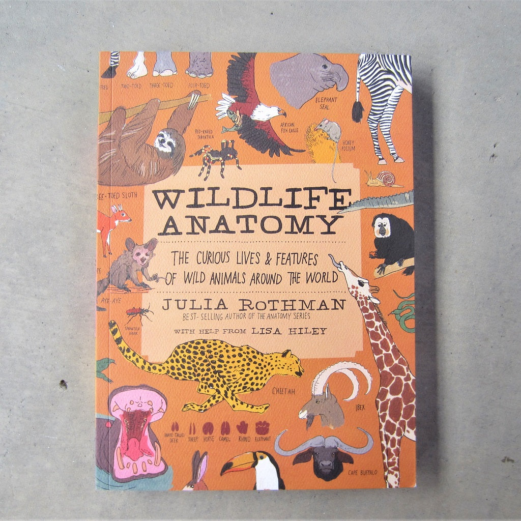 Wildlife Anatomy