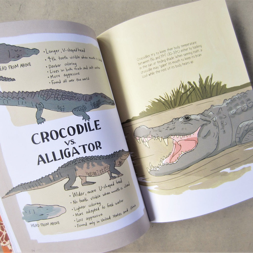 Wildlife Anatomy