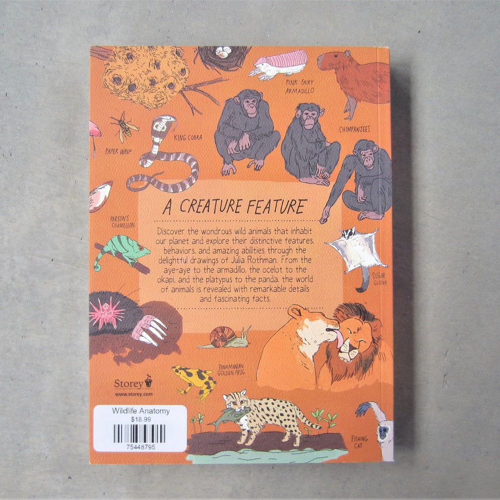 Wildlife Anatomy