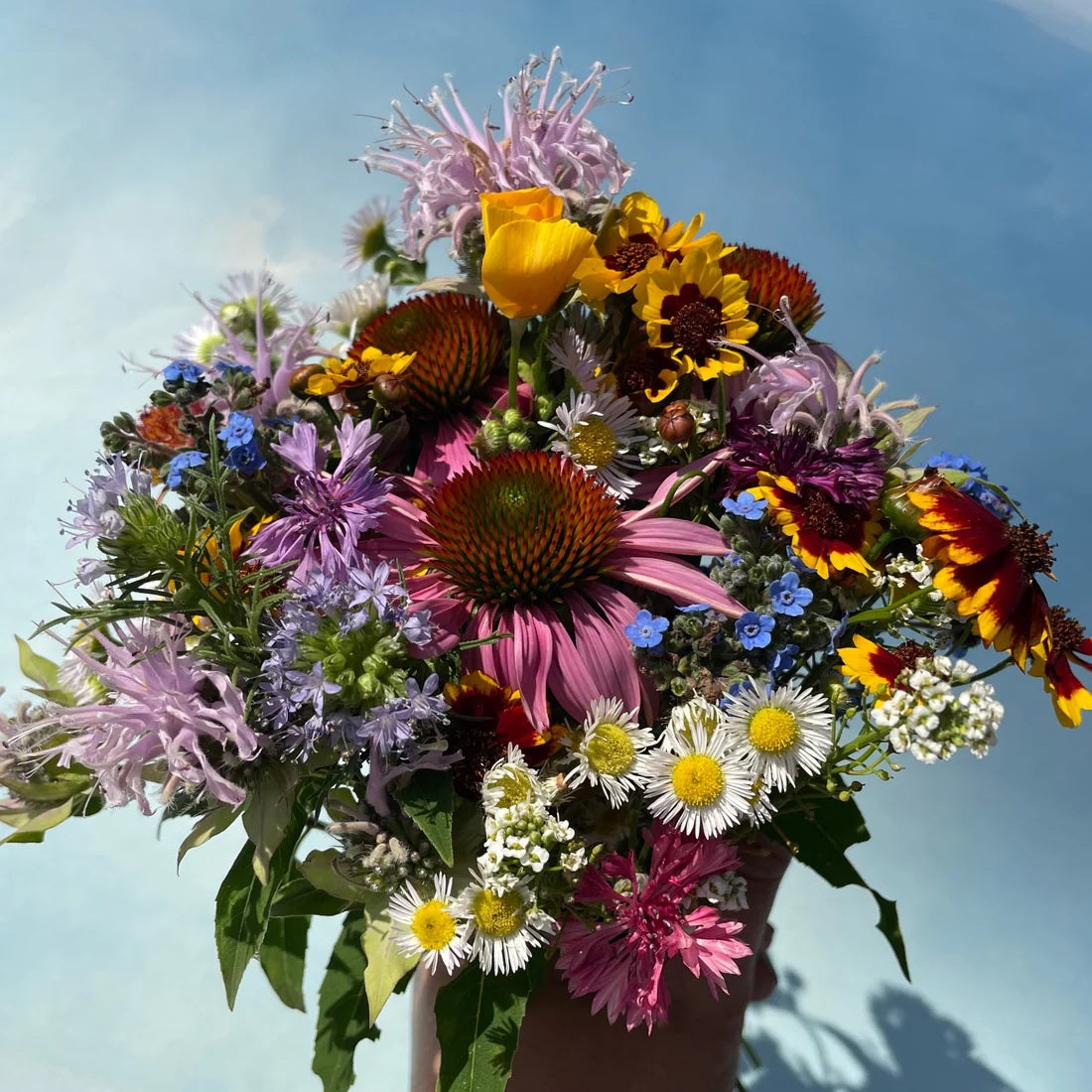 Seeds: Bee Nectary Mix