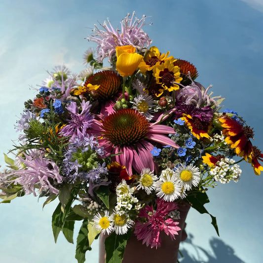 Seeds: Bee Nectary Mix
