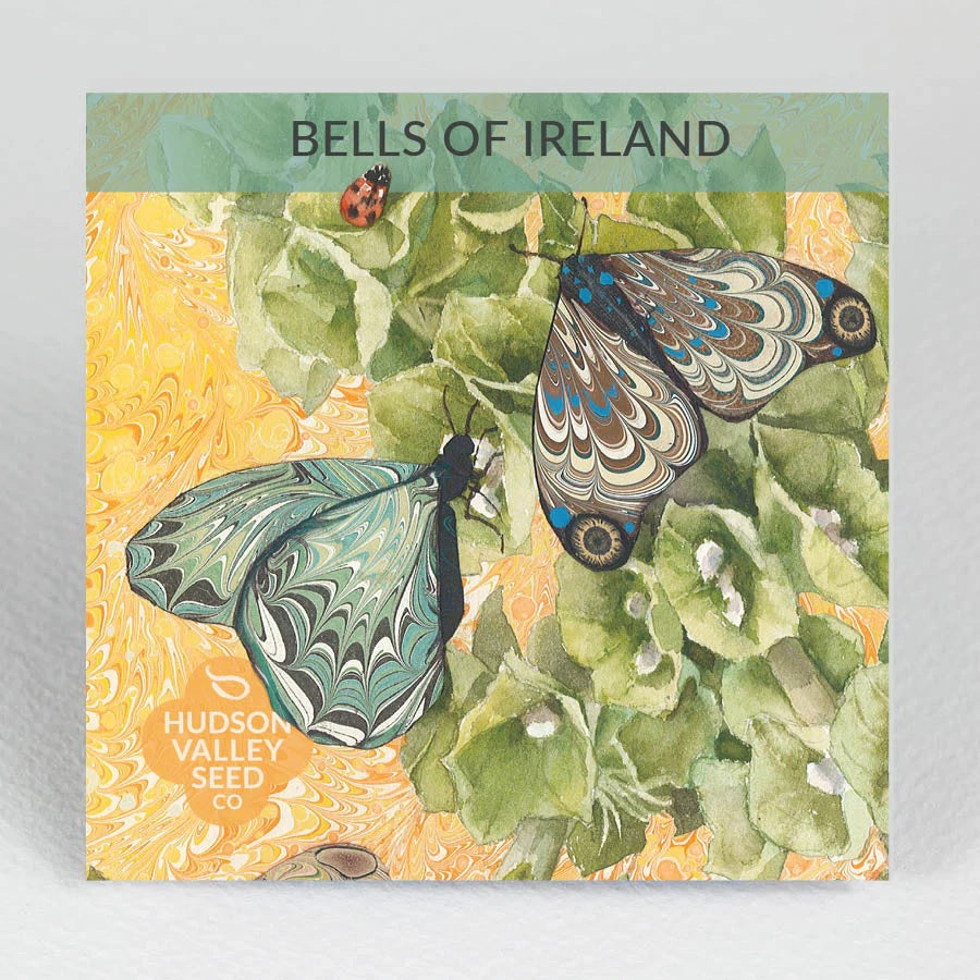 Seeds: Bells of Ireland