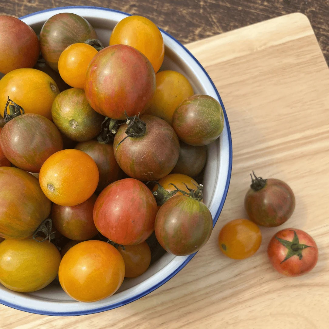 Seeds: Bumble Bee Mix Cherry Tomato