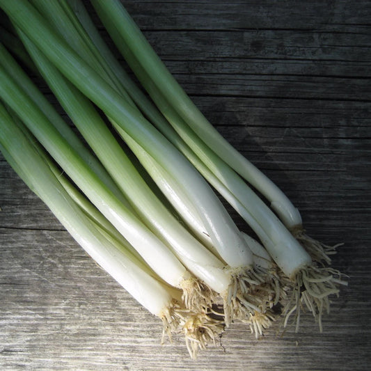 Seeds: Evergreen Scallion