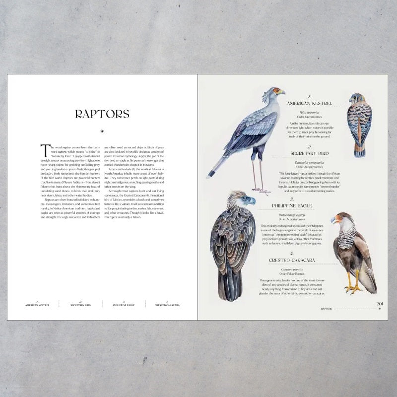 The Illuminated Book of Birds