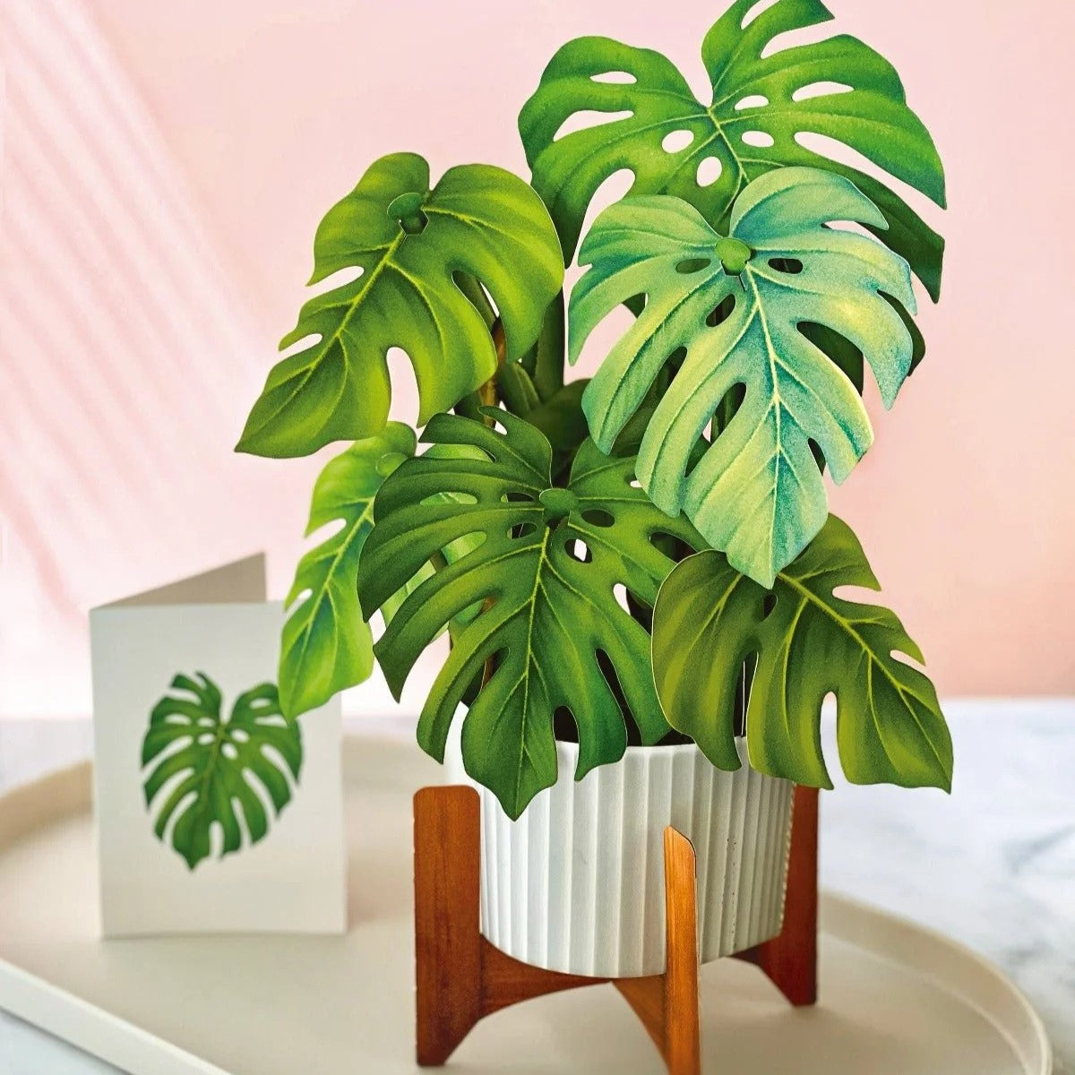 monstera plant potted Paper Potted Plant: Monstera