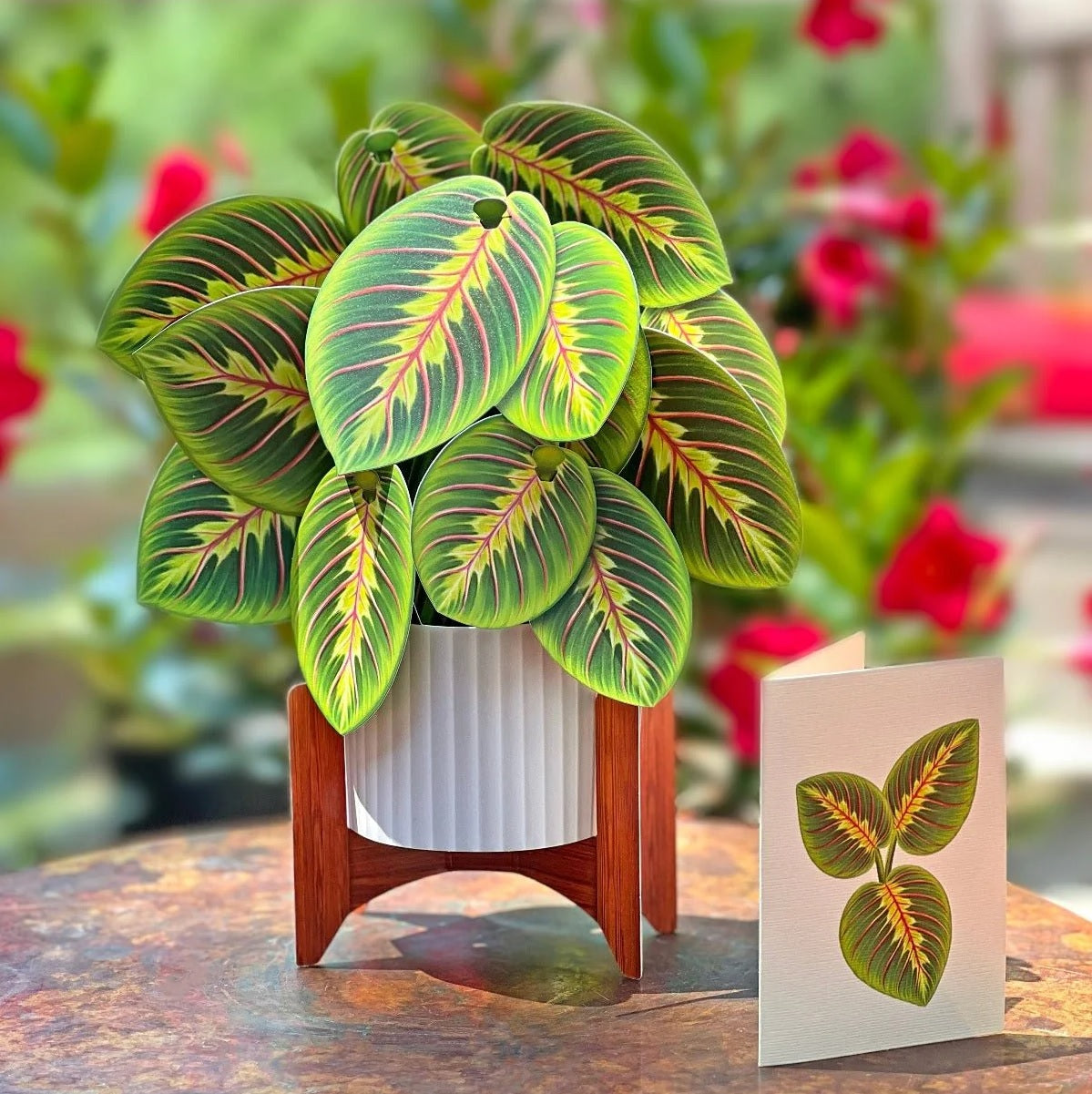 Paper Bouquet: Prayer Plant