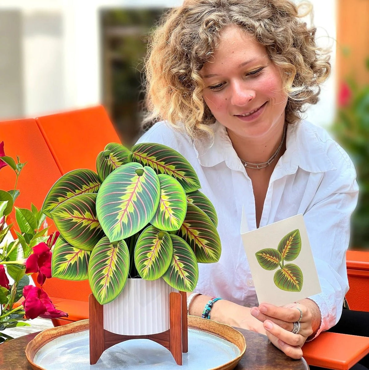 Paper Bouquet: Prayer Plant