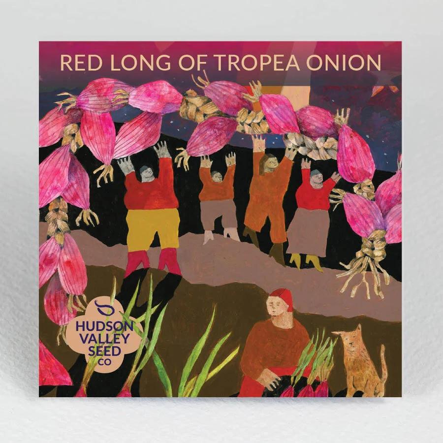 Seeds: Red Long of Tropea Onion
