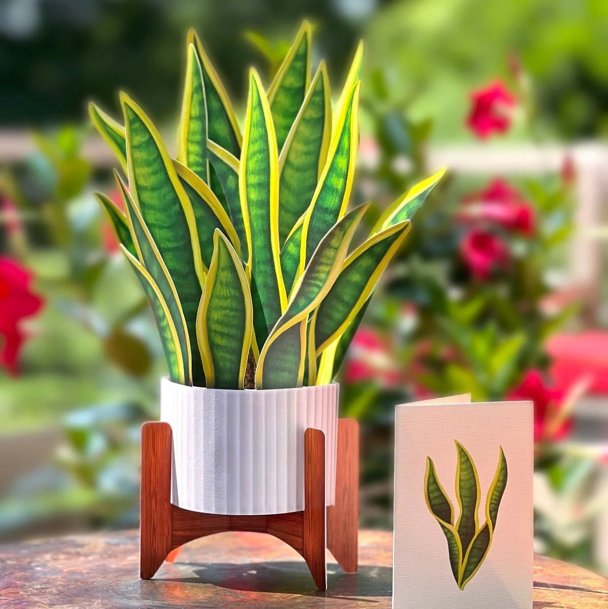 Paper Bouquet: Snake Plant