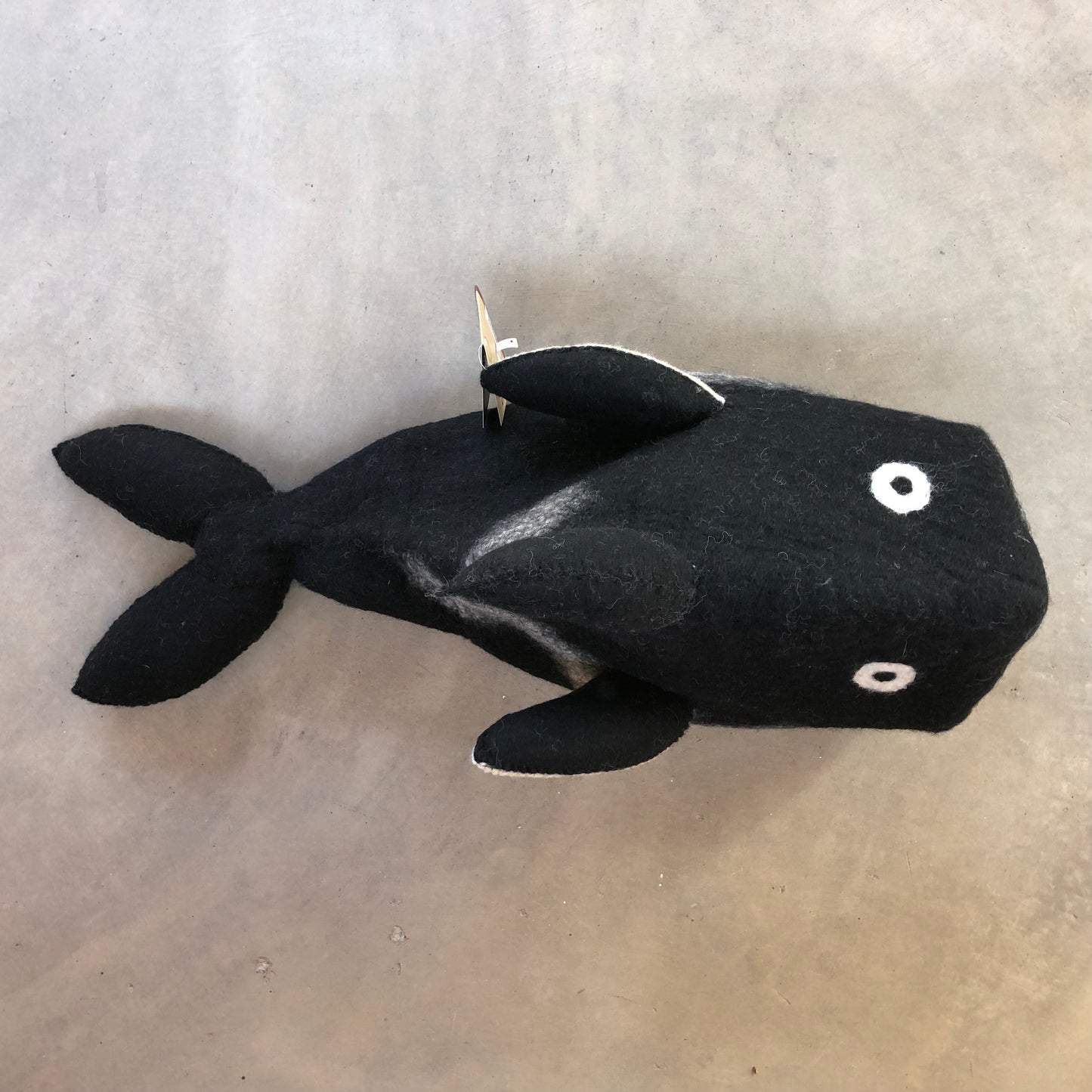 Cat Pod: Orca