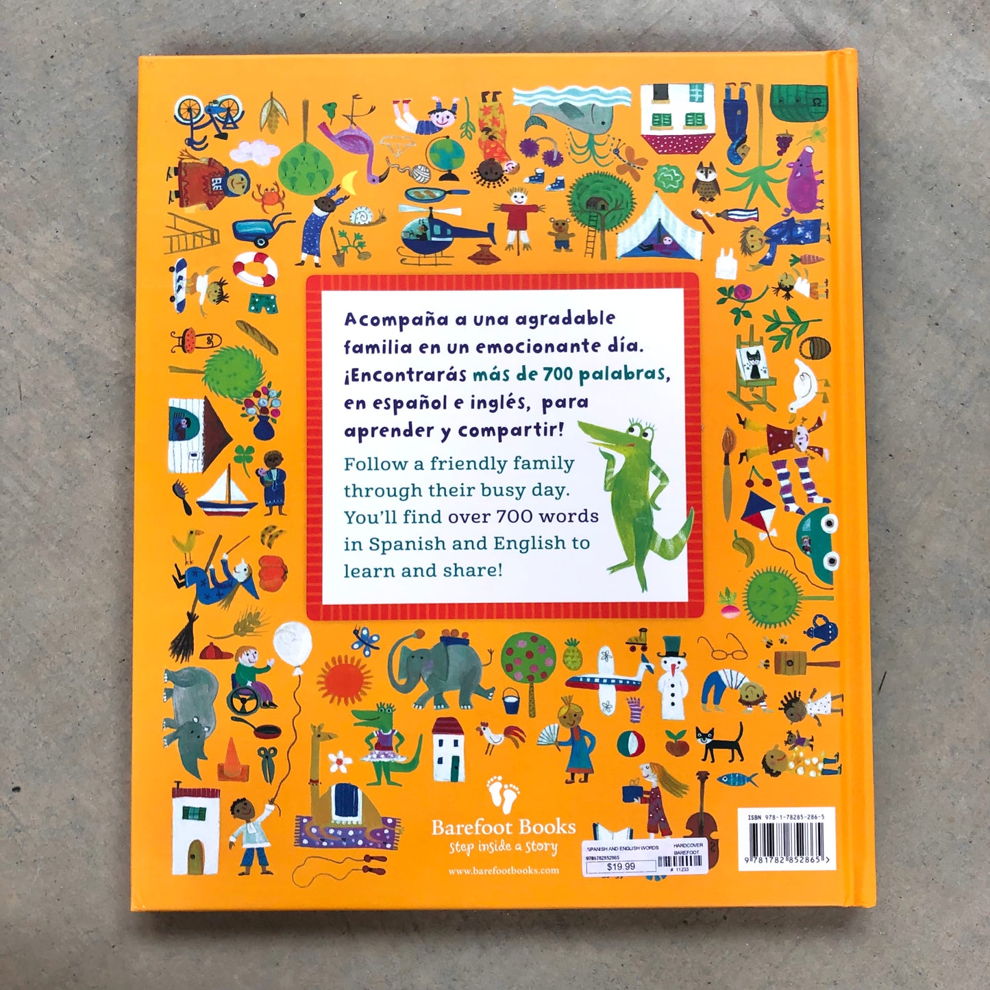 Spanish and English Words