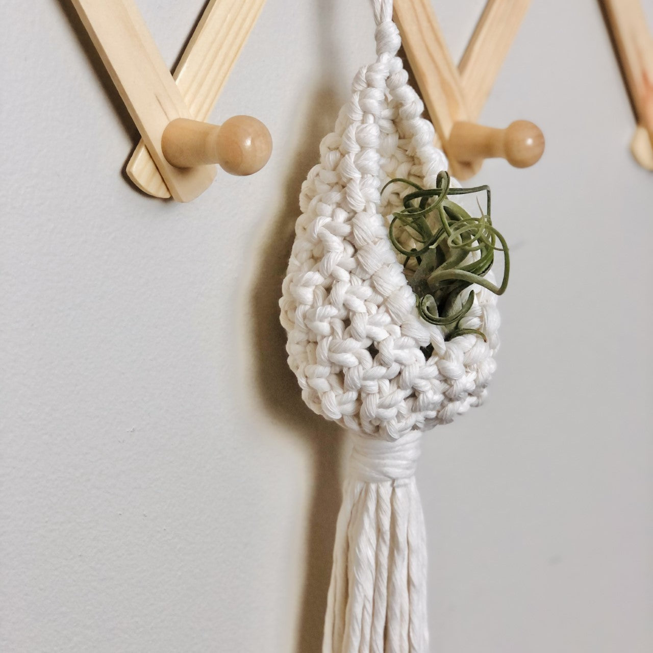 Macramé Hanging Plant Pod for Air Plants