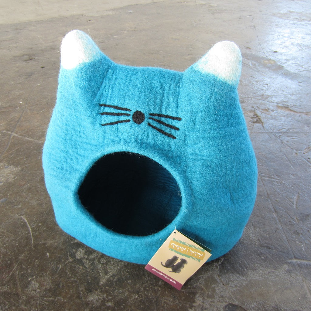 Cat Pod: Turquoise Cat