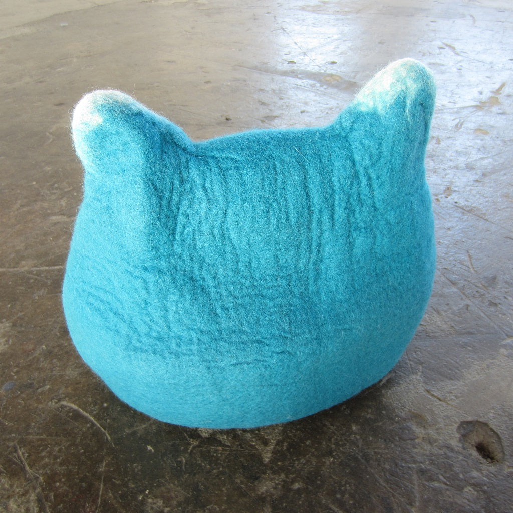 Cat Pod: Turquoise Cat