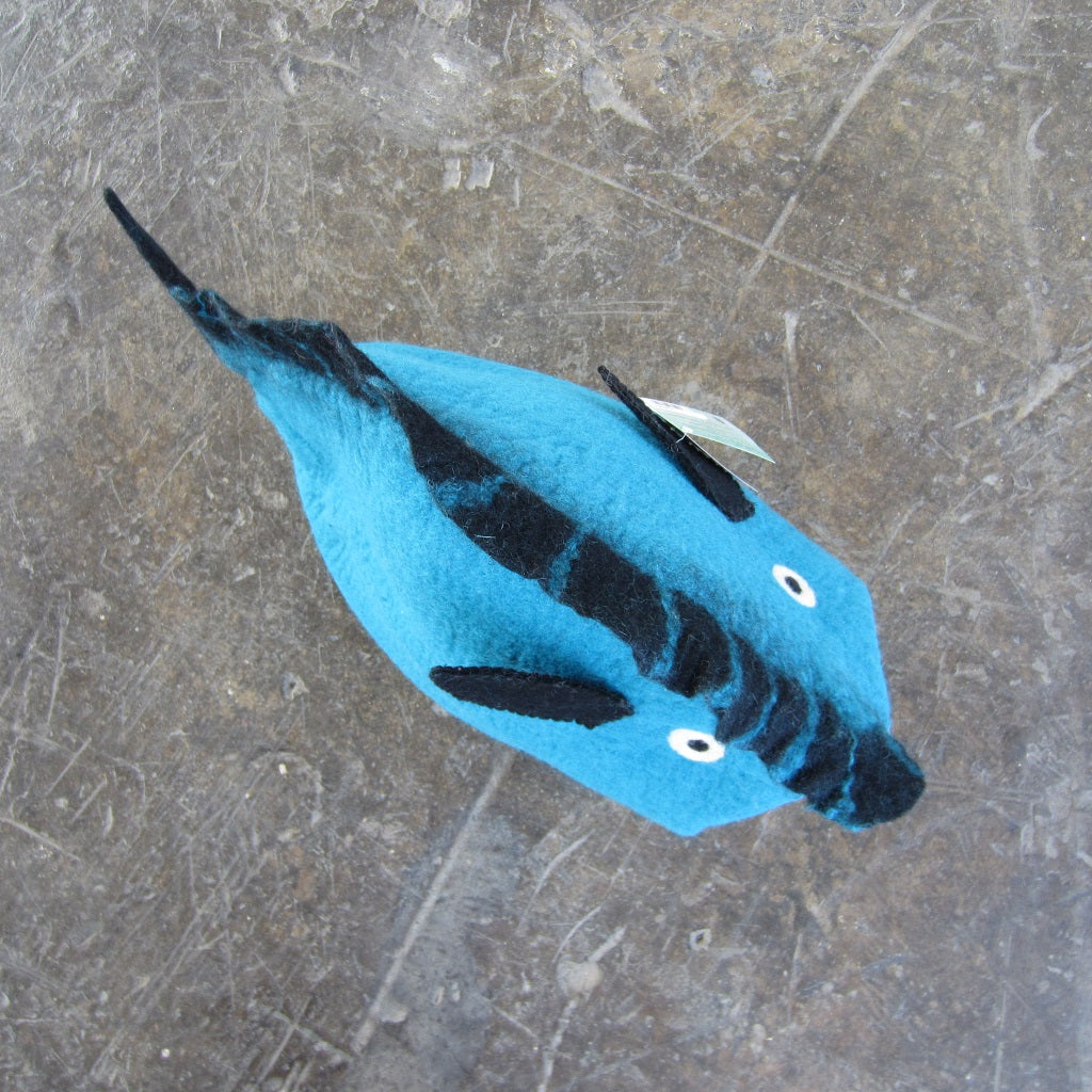 Cat Pod: Turquoise Fish