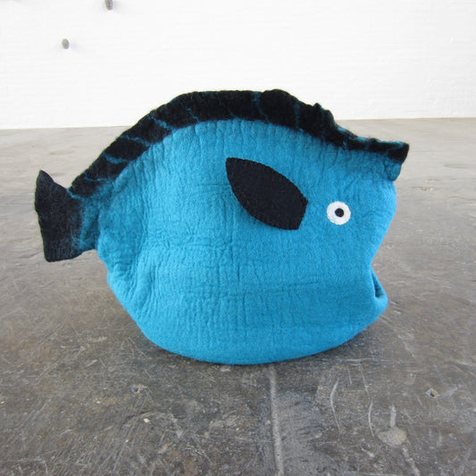 Cat Pod: Turquoise Fish