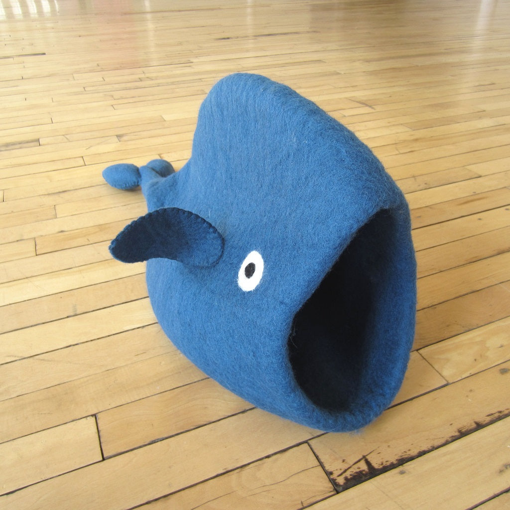 Cat Pod: Blue Whale