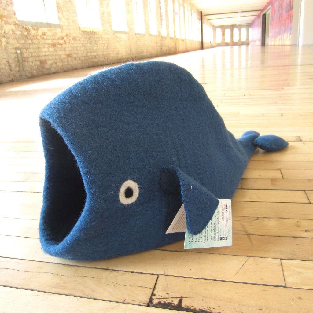 Cat Pod: Blue Whale