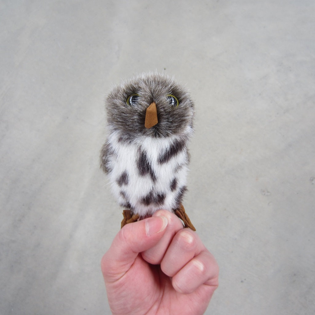 Finger Puppet: Mini Spotted Owl