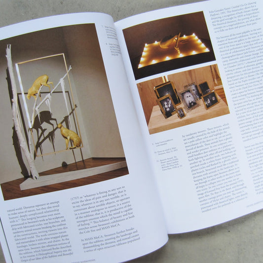 Marc Swanson: A Memorial to Ice at the Dead Deer Disco