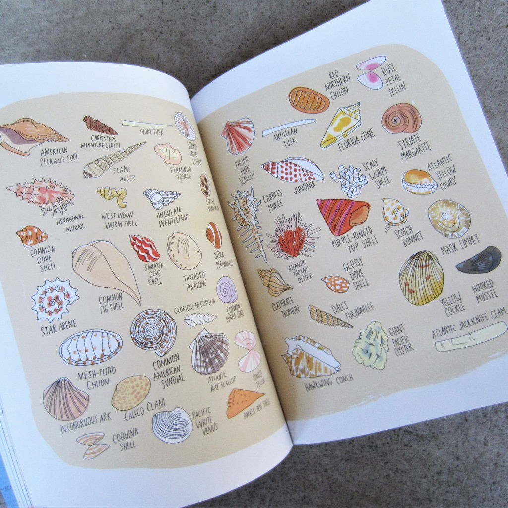 Ocean Anatomy