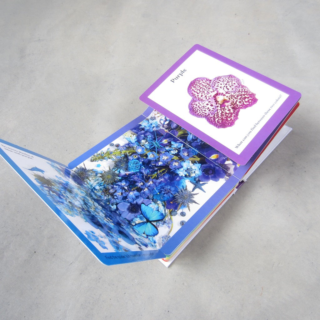 Rainbows in Bloom: Discovering Colors with Flowers