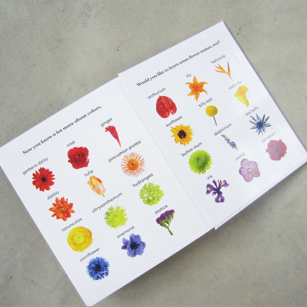 Rainbows in Bloom: Discovering Colors with Flowers