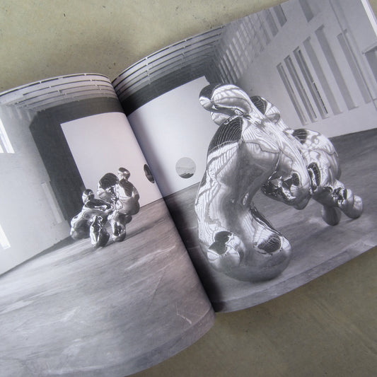 Simon Starling: The Nanjing Particles