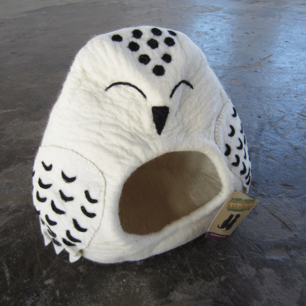 Cat Pod: Snowy Owl